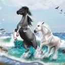 Canterlands