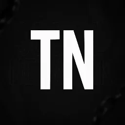ToxicNetwork — мониторинг Discord сервера, статистика и рейтинг
