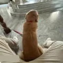 Kara Am(B/V)ar Kamyoncular Derneği