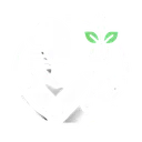 Building AI for Good