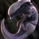 Serveur de Kyra59