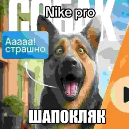 Пещера dixy — мониторинг Discord сервера, статистика и рейтинг