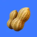 INFO 🥜