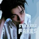 stxxxrz ☆ fakes