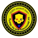 308th Assault team