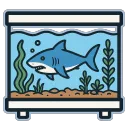 The Shark Tank