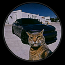 The Pimps Discord server icon