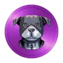 JAXInu Official
