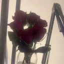 Inactive Server