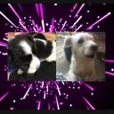 Serverul lui bella si betty Discord server icon