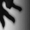 /necrosis Discord Server