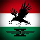 16th Helldiver Division | The Black Army Discord Server Icon