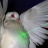 ruffled feathers<3