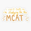 mcat study group