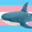 Trans Safe Space