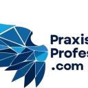 Praxis Professional