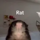 Random basement