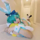 hanamyuuu's bunnyland