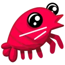 Shrimpcord