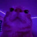 紫┃𝐄𝐩𝐢𝐜𝐁𝐮𝐧𝐤𝐞𝐫