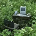 The Spot