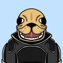 Casey’s Sea Lions