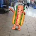 Franks Hotdogs (FHD) & co.