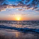 Ocean saviors