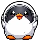 PENGI.CO