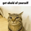 YIPPEE! \(^ヮ^)/ Discord server icon