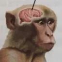 vshnooze discord!