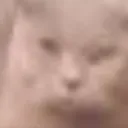 🎄 ꜱᴏʟꜱ ʀɴɢ (ʀᴜ)