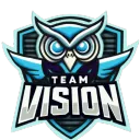 Team Vision