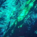 The Stillfall SMP ❥ Discord server icon