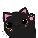 Choko | Stream
