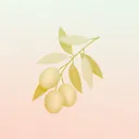 올리브 성당