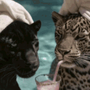 Bazuka Daddy's Crib Discord Server