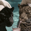 Bazuka Daddy's Crib Server Icon