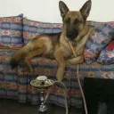 Enes ve kankileri :)
