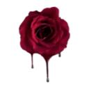 A Savage Garden (First Generation) Discord Server Icon