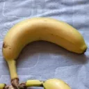🍌🧿・  Banana Gang