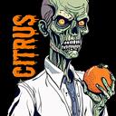 CitRUS/RU/EN/ DAYZ PS4/PS5 SERVER/PVP/FROSTLINE Discord Server Icon