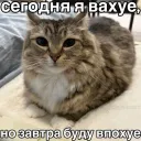 Худовское.