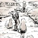 PKMN Adventures
