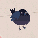 Corvi Nest