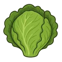 The Lettuce Store