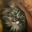 Luna’s spaceship