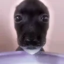 | 𝐌𝐢𝐥𝐤 𝐃𝐨𝐠 𝐂𝐞𝐧𝐭𝐫𝐚𝐥 |