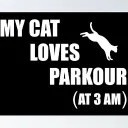 Parkour Kitty Lounge