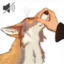 Server Icon